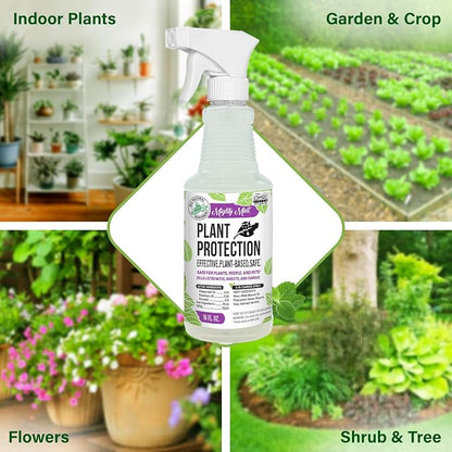 Mighty Mint Peppermint Oil Plant Protection Spray – Insect & Pest Control for Gnats, Spider Mites & Aphids – Plant-Based, Easy-to-Use - 16 oz