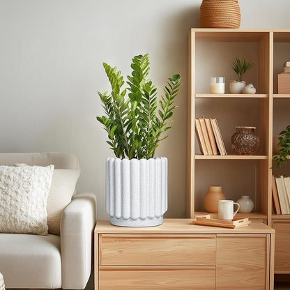 Ceramicfor Ceramic Planter, 7.6 Inch, White | Indoor Plants, Outdoor Use, Drainage Hole, Fluted Modern Design, Round Flower Pot