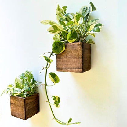 LaLaGreen Wood Planter Box (4x4, 2 Pack) Small Square Indoor Wall Planters | Wall Planters for Indoor Plant, Window Hanging Flower Pot Wooden Boxes for Table Centerpiece Herb Balcony Home Garden Office