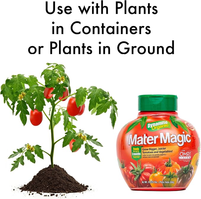 Dynamite Mater Magic - Organic Tomato Fertilizer for Bigger, Juicier Tomatoes and Vegetables, OMRI Listed, Nitrogen and Calcium-Rich Plant Food - .675 Pound Container with Shaker Lid