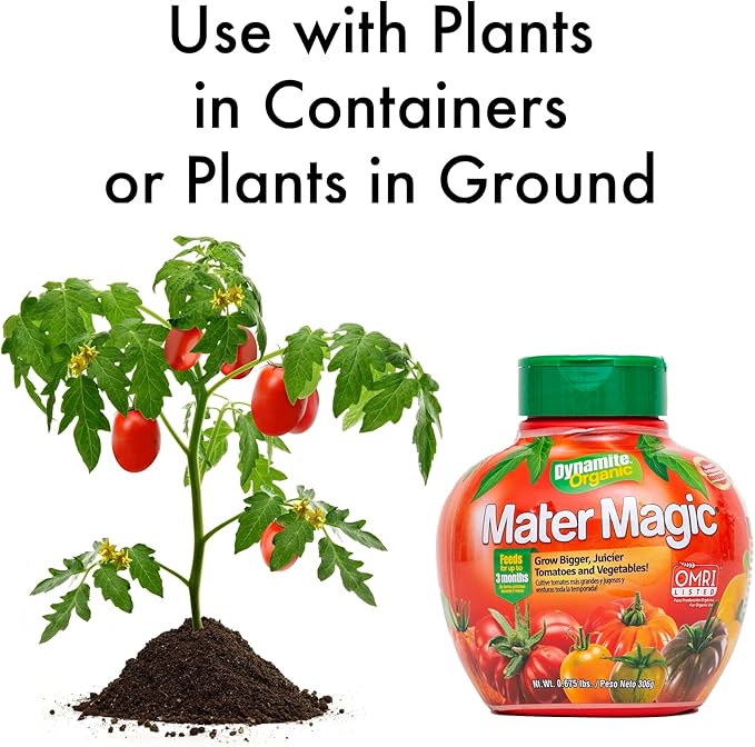 Dynamite Mater Magic Tomato Fertilizer & Jobe's Tomato Plant Fertilizer Spikes Bundle