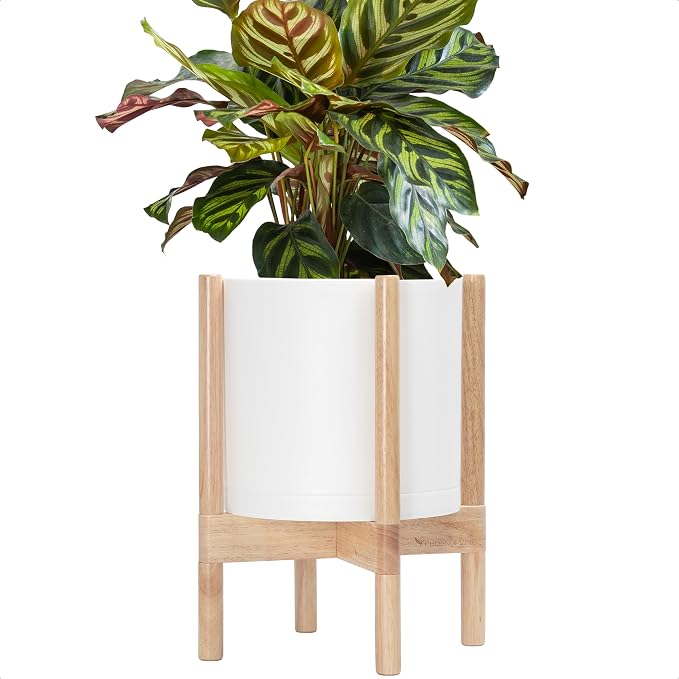 D'vine Dev Plastic Pot with Natural Wood Stand, White, 10 in, 55-C-M-1 | Mid-Century Inspired Design, Elevated Plant Display, Clean Lines, Sturdy Support, Modern Space-Saving Style