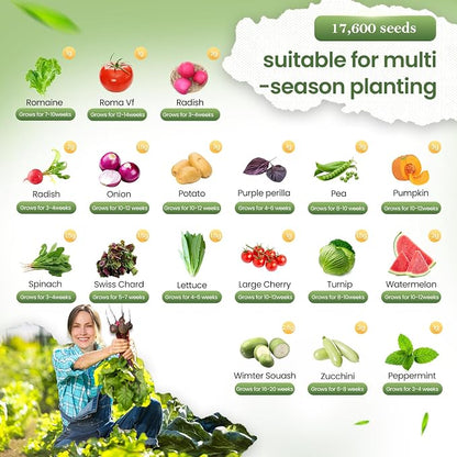 36 Vegetable Variety Pack - 17,600+ Non-GMO Heirloom Seeds for Planting Vegetables and Herbs, 36 Individually Packed Seed Packets for Indoor, Outdoor, Greenhouse & Hydroponic Gardening