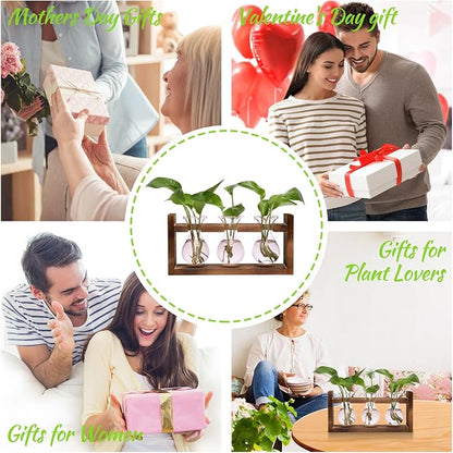 Plant Propagation Station Plant Terrarium Unique Birthday Gifts for Women | Plant Lovers Home Office Decor Planter with Wooden Stand - 3 Bulb Glass Vase