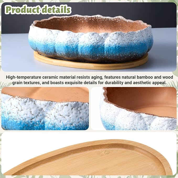 Succulent Pot 12 Inch Large Succulent Planters Ceramic Glazed Bonsai Pot with Bamboo Tray Round Shallow Planter for Indoor Cactus Flower Planter Window Box for Home Garden Decor (Blue and White)