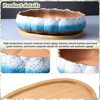 Succulent Pot 12 Inch Large Succulent Planters Ceramic Glazed Bonsai Pot with Bamboo Tray Round Shallow Planter for Indoor Cactus Flower Planter Window Box for Home Garden Decor (Blue and White)
