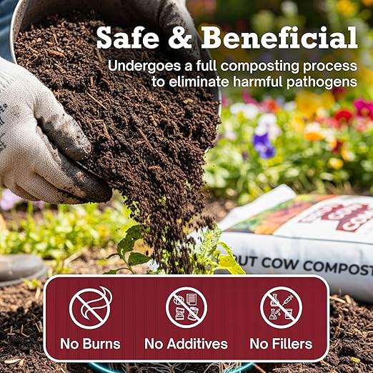 Brut Cow Compost – Nutrient-Rich Composted Cow Manure Organic Soil Amendment – 100% Pure Compost, Additive-Free Fertilizer for Vegetable Gardens, Flowers, Lawns & Indoor Plants – 10 Quart
