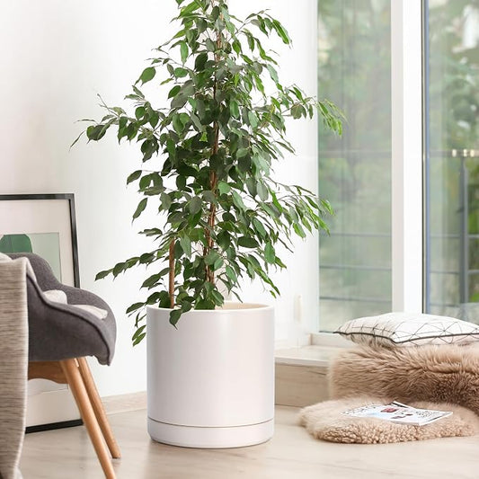 D'vine Dev 10 Inch Ceramic Planter Pot, Oatmeal, 94-O-E-8 | Modern Cylinder Design, Drainage Hole & Saucer Included, Stable Structure, Elegant Home Accent