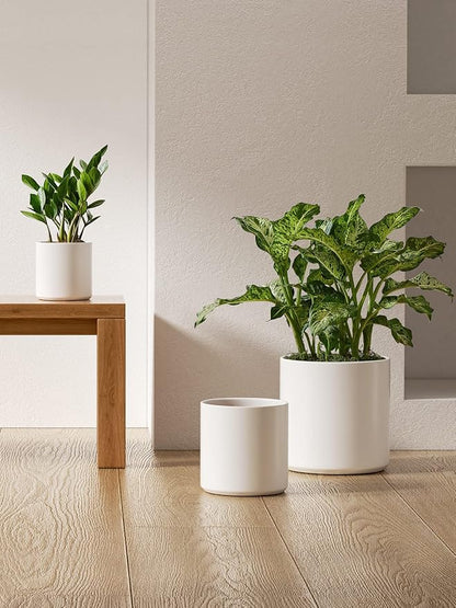 LE TAUCI 10+8+6 Inch Ceramic Pots for Plants, Indoor Planters with Drainage Hole and Plug, Modern Cylinder Flower Pots Set of 3 for Living Room and Bedroom, Satin, White