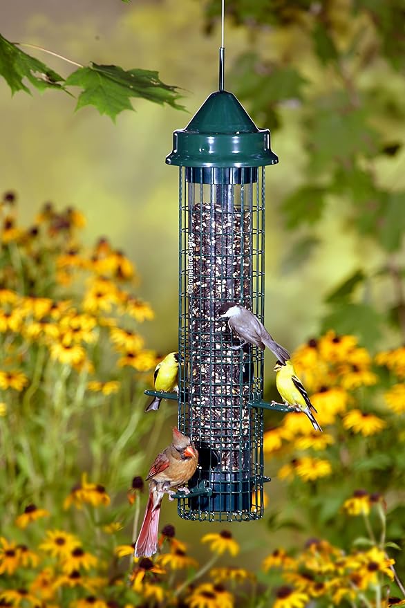 Squirrel Buster Classic Squirrel-proof Bird Feeder w/4 Feeding Ports, 2.4-pound Seed Capacity | Weight-Activated Shroud Blocks Squirrels, 4 Feeding Ports, 2.4 Lb Seed Capacity, 32 Height, Tool-Free Disassembly