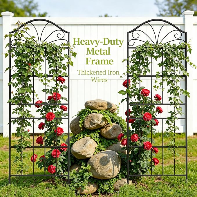 VOXOR Metal Trellis for Climbing Plants Outdoor, 60 * 19.7 Inch Tall Garden Trellis with Black Rustproof Coating, Decorative Rose Trellis for Climbing Roses, Vines, and Flowers, 2 Pack
