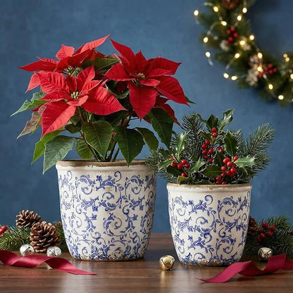 Teweiqi Vintage Ceramic Planter Without Drainage Hole, 6.5 Inch - Indoor/Outdoor Flower Pot for Orchids, Succulents, Blue Floral Rustic Farmhouse Plant Pot for Home, Office & Garden Décor, Ideal Gift