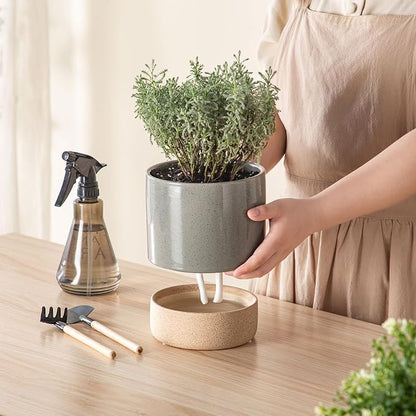 6 Inch Ceramic Self Watering Planter with Drainage Hole, Dark Grey | Indoor Plant Pot with Water Storage Plus - for African Violet, Herbs & Pothos - Home & Office Decor, Cylinder Round