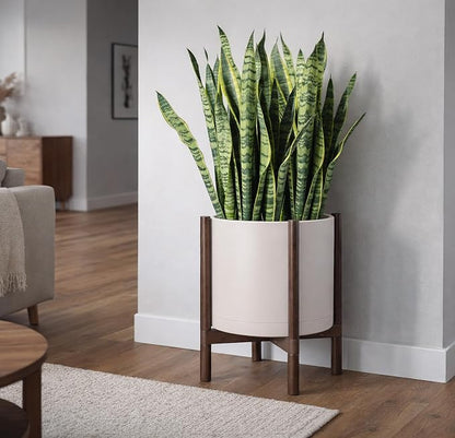 D'vine Dev Plastic Pot with Walnut Wood Stand, Oatmeal, 16 in, 55-C-X-4 | Mid-Century Inspired Design, Elevated Plant Display, Clean Lines, Sturdy Support, Modern Space-Saving Style