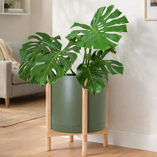 D'vine Dev Plastic Pot with Natural Wood Stand, Olive, 16 in, 55-C-Y-3 | Mid-Century Inspired Design, Elevated Plant Display, Clean Lines, Sturdy Support, Modern Space-Saving Style