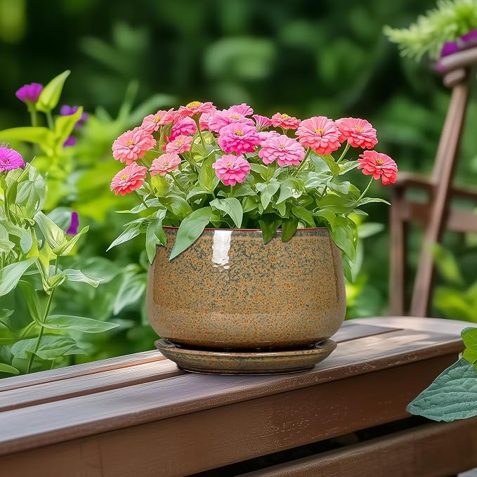 G EPGardening 6 Inch Plant Pot - Ceramic Succulent Pots with Drainage and Ceramic Tray, Round Planter for Indoor Outdoor Plants, Decorative Flower Pots, Home Decor, Gift for Women Men, Speckled Brown