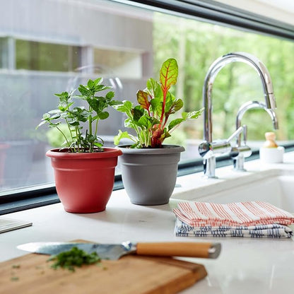 Bloem Ariana 6" Plastic Self-Watering Planter, Charcoal, 4-Pack | Self-watering disk at the bottom of each pot that acts as a water wick and reservoir for optimal plant health