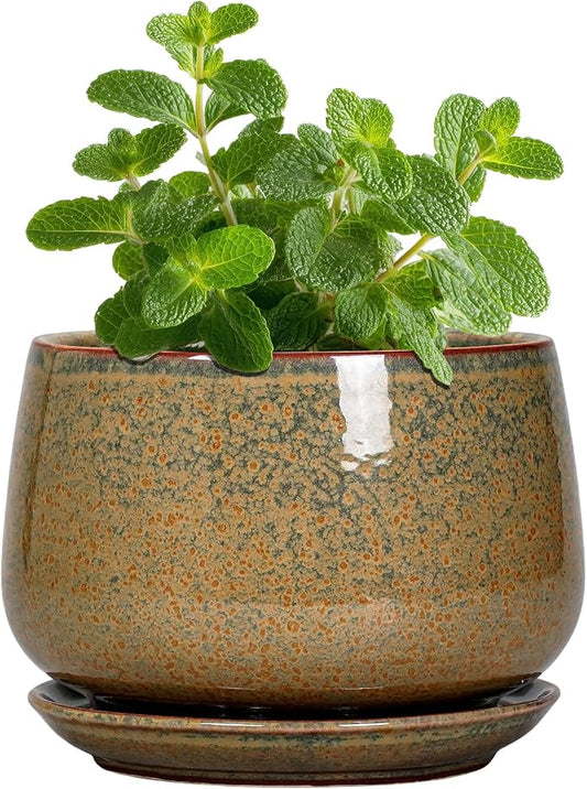 G EPGardening Ceramic Pots for Plants, 4 Inch, Speckled Brown | Succulent Pots with Drainage Hole & Saucer, Round Small Plant Pot for Indoor Plants, Home Decor, Gifts for Plant Lovers