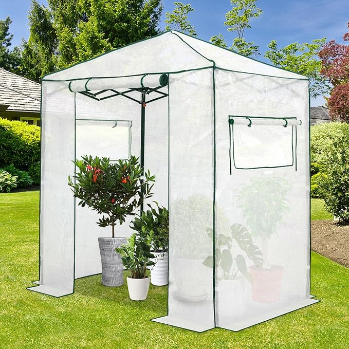 EAGLE PEAK 6x4 Portable Walk in Greenhouse, Pop Up Indoor Outdoor Greenhouse, Green House Kit with Zippered Roll-Up Doors and Windows, PE Cover, Clear/White
