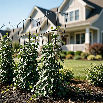 Thealyn 4 Pack 43" Metal Plant Trellis for Pots & Garden Beds, Rustproof Support for Indoor Outdoor Climbing Plants, Vines, Flowers, Fan Shaped, Black