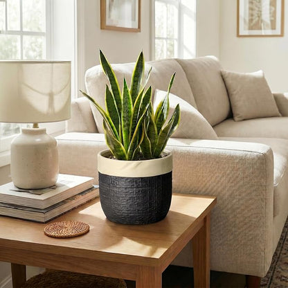8 Inch Planter - Ceramic Pots for Plants with Drainage Hole and Plug, Round Unique Flower Pots for Indoor Plants, Boho Decorative Plant Pot, Apartment Decor, Gardening Gifts for Women, Black