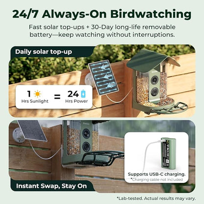 Kiwibit Smart Bird Feeder with 4K AI Camera Solar Powered | AI Identification Bird Species 10,000+, 4K Video Live Stream, 8MP Photos, Real-Time Bird Alert, Backyard Birdwatching Gift