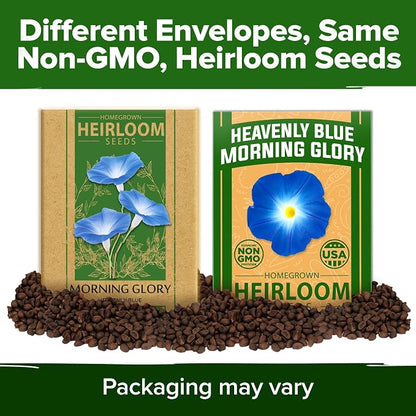 HOME GROWN Heavenly Blue Morning Glory - 150 Heirloom Seeds for Planting, Ideal for a Flower Garden that Attracts Pollinators and Birds (Ipomoea Tricolor)