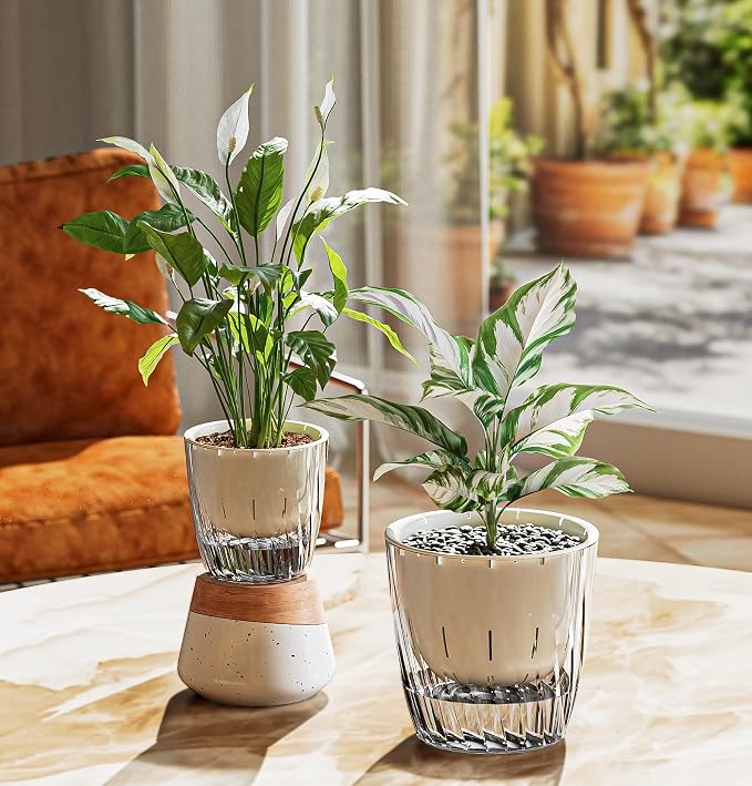 6 Inch Self Watering Pots for Indoor Plants, 2 Pack Self Watering Planter, Self Watering Pot with Reservoir, Clear Self Watering Pots for Indoor Plants, African Violets (2 Pack, 6", Clear)