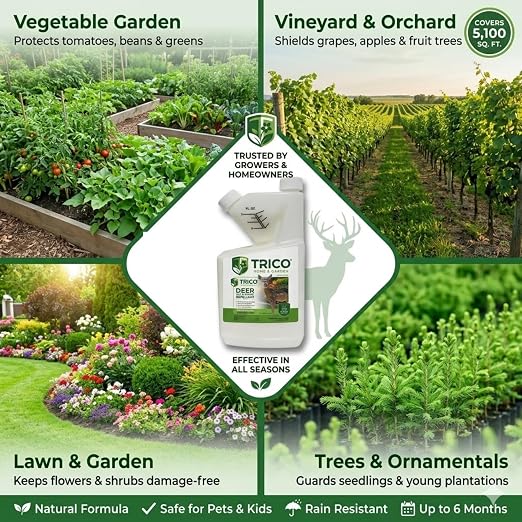 Trico Deer Repellent Concentrate, Natural Sheep Fat Formula, Long-Lasting Scent & Taste Barrier, Rain Resistant Wildlife Protection for Lawns, Gardens, Orchards & Crops, 1 Gallon | 1 unit/case, B2B delivery, free freight, long-lasting animal deterrent,...
