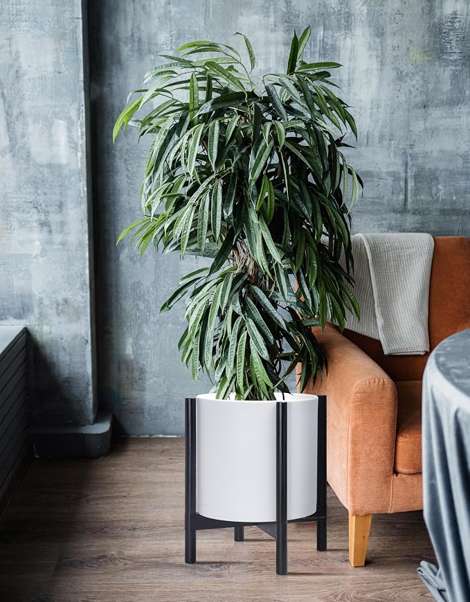 D'vine Dev Plastic Pot with Ebony Wood Stand, White, 14 in, 55-C-T-1 | Mid-Century Inspired Design, Elevated Plant Display, Clean Lines, Sturdy Support, Modern Space-Saving Style