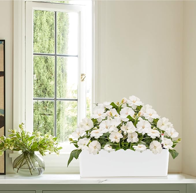 Elongated Self Watering Planter Pots 2-Pack Window Box 5.5 x 16 inch Indoor Home Garden Modern Decorative Planter Pot for All House Plants Flowers Herbs (White,2)