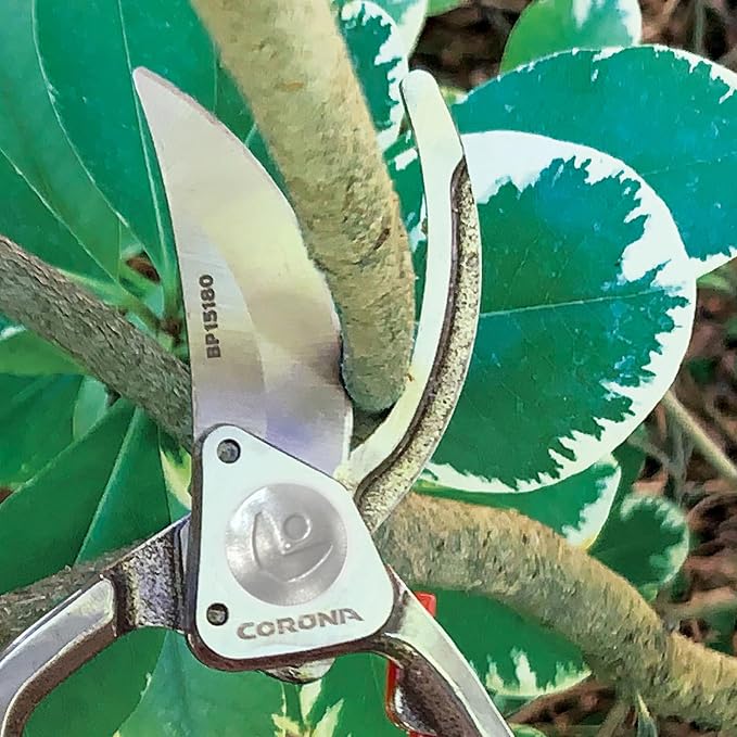 Corona Tools Forged Steel ClassicCUT Bypass Hand Pruner – 1-Inch Cut Capacity Garden Pruning Shears for Stems & Branches, Heavy-Duty Bypass Pruners for Tree, Shrub & Plant Trimming