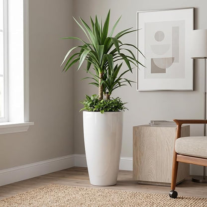 Sun-E Tall Planters for Outdoor Indoor Plants 2 Pack, 21-Inch Large Glossy White Planter, High Gloss Glazed Ceramic-Look Tall Pure White Flower Pots for Bright Entryway Modern Decor