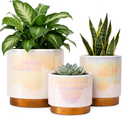 Gepege White Indoor Pots for Plants, Ceramic Planter with Drainage Hole, 6.0 inch+5.0 Inch+4.0 Inch. Succulent Orchid Flower Pot - Rainbow Pearl Glaze