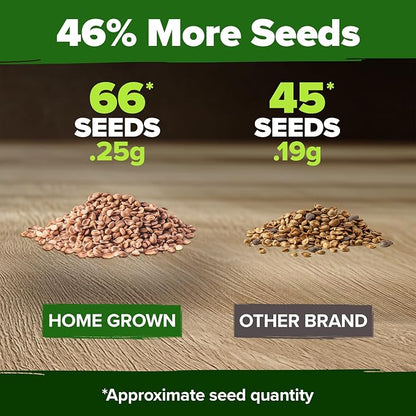 HOME GROWN San Marzano Tomato Seeds 66+ Heirloom Non-GMO Seeds for Planting, High Germination, Indeterminate, Classic Meaty Italian Paste Tomato, Best for Sauce & Canning (Solanum lycopersicum)