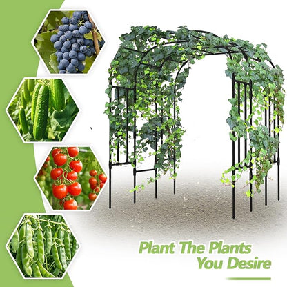 Trellis for Climbing Plants Outdoor - Size of the Grape Vine Trellis: 71 * 69 * 79 inch - Cucumber Trellis for Raised Bed, Garden Trellis for Climbing Plants, Cucumber, Vegetable, Tomato