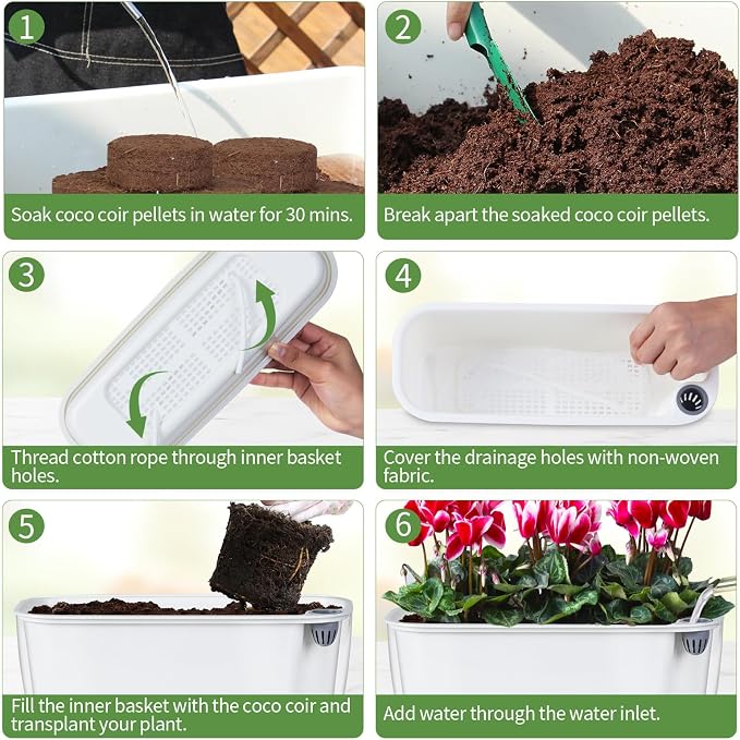 Oliz Self-Watering Planter with Coco Coir, Clear Modern Rectangular Pot | 11.8 * 4.6 inch, Decorative Flower Pot for Indoor Plants, Windowsill Plant Pot with Drainage Holes, African Violets Pots