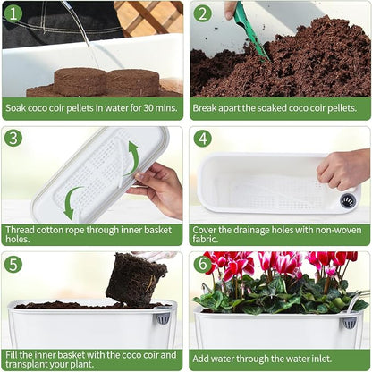 Oliz Self-Watering Planter with Coco Coir, Clear Modern Rectangular Pot | 11.8 * 4.6 inch, Decorative Flower Pot for Indoor Plants, Windowsill Plant Pot with Drainage Holes, African Violets Pots