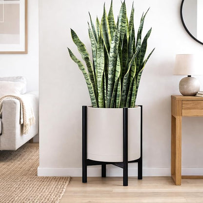 D'vine Dev Plastic Pot with Ebony Wood Stand, Oatmeal, 16 in, 55-C-Z-4 | Mid-Century Inspired Design, Elevated Plant Display, Clean Lines, Sturdy Support, Modern Space-Saving Style