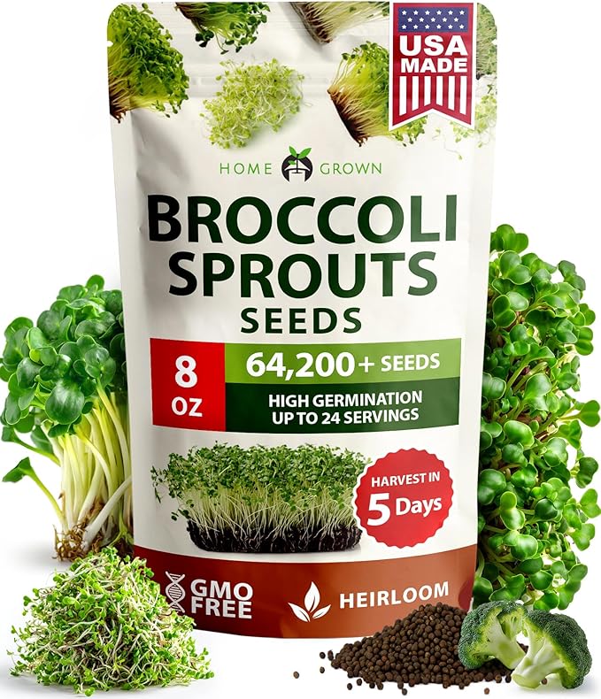 HOME GROWN Broccoli Seeds 8 oz Bulk Heirloom Non-GMO, High Germination, Sulforaphane Rich Sprouting Seeds, Nutritious Microgreens, Healthy Sprouts in 5 Days, Superfood Boost (Brassica oleracea)