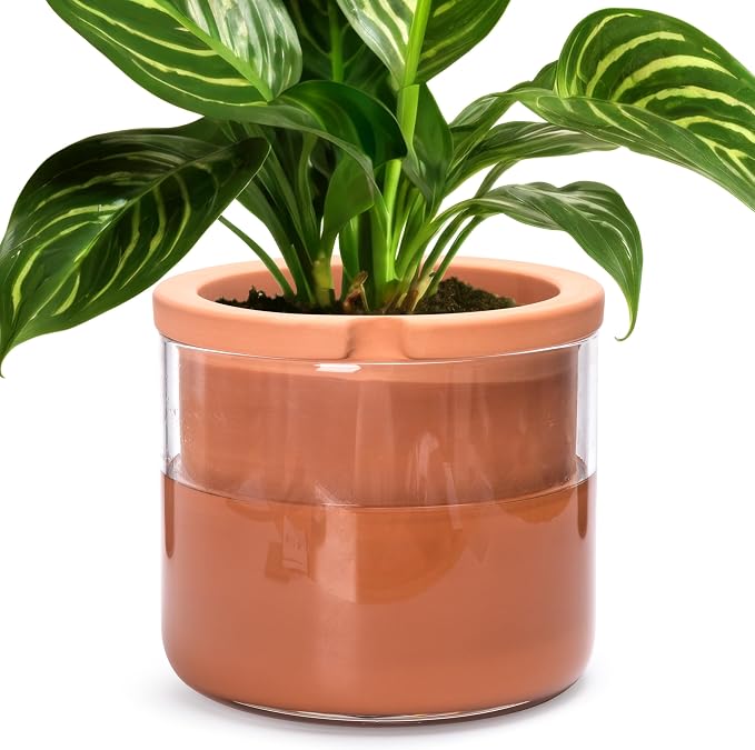 Phoenix Vine 8 Inch Self Watering Planter, Design Terracotta Pot for Plants, Indoor Cylinder Terra Cotta Pot with Glass Vase, Set of 1, 51-A-H-1