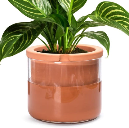 Phoenix Vine 8 Inch Self Watering Planter, Design Terracotta Pot for Plants, Indoor Cylinder Terra Cotta Pot with Glass Vase, Set of 1, 51-A-H-1
