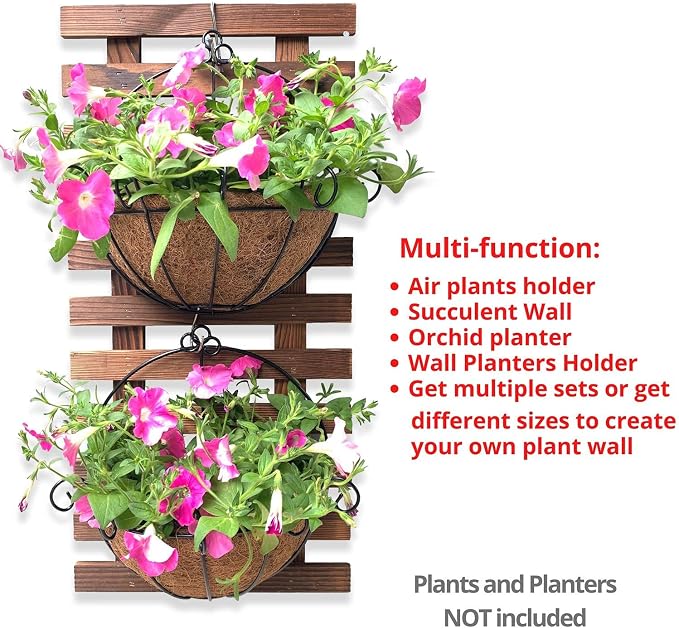ShopLaLa Wall Planter - Wooden Hanging Planter for Indoor Plants, Plant Stand, Air Plant Succulent Holder, Vertical Garden. Large Wall Decor for Living Room, Room Decor for Teens, 60cm (23.6") | Air Plant Succulent Holder, Plant Stand, Vertical Garden ...