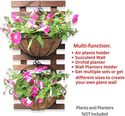 ShopLaLa Wall Planter - Wooden Hanging Planter for Indoor Plants, Plant Stand, Air Plant Succulent Holder, Vertical Garden. Large Wall Decor for Living Room, Room Decor for Teens, 60cm (23.6") | Air Plant Succulent Holder, Plant Stand, Vertical Garden ...