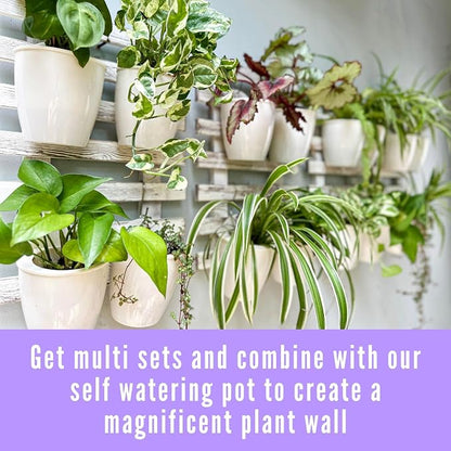 ShopLaLa Wooden Wall Planters - 2 Pack Wall Hanging Planters for Indoor Plants, White Rustic Wood Wall Mounted Flower Pot Holder Vertical Succulent Orchid Airplant Frame Display 15.7" (40cm)