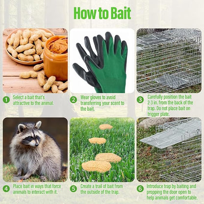 Humane Way Folding 32 Inch Live Humane Animal Trap - Safe Traps for All Animals - Raccoons, Cats, Groundhogs, Opossums - 32" L x 10.2" W x 12.2" H