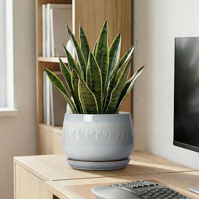 9 Inch Ceramic Pots for Plants - Indoor Plant Pots with Drainage and Saucer, Decorative Planters for Indoor Plants, Round Large Flower Pot, Rustic Home Decor, Housewarming Gifts, Grey-White