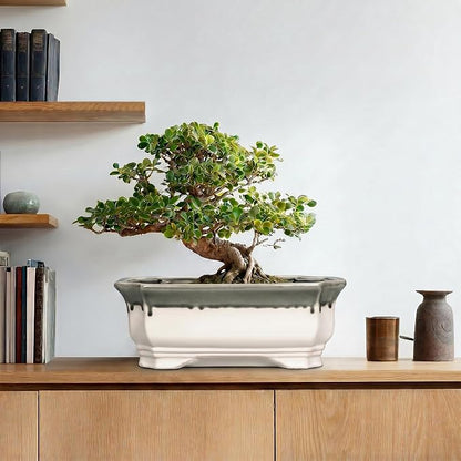 Bonsai Tree Pots 13.7 Inch - Ceramic Succulent Pots for Indoor Outdoor Plants, Bonsai Planter with Drainage Hole, Shallow Plant Pot, Home Decor, Gifts for Men Women, Rectangular Beige-Grey