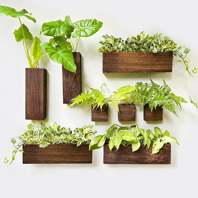 LaLaGreen Wood Planter Box for Plants (8 Pack) Wall Planters for Indoor | Wooden Hanging Plant Holder Vase for Dried Flowers, Modern Country Rustic Living Room Bedroom Office Home Garden Decor