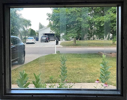 COLLIDESCAPE Spiderweb Clear BirdTape for Windows (3/4" x 20' - Covers 1 to 2 panes) | Bird Tape Decals to Prevent Bird Strike Prevention for Glass | Clear